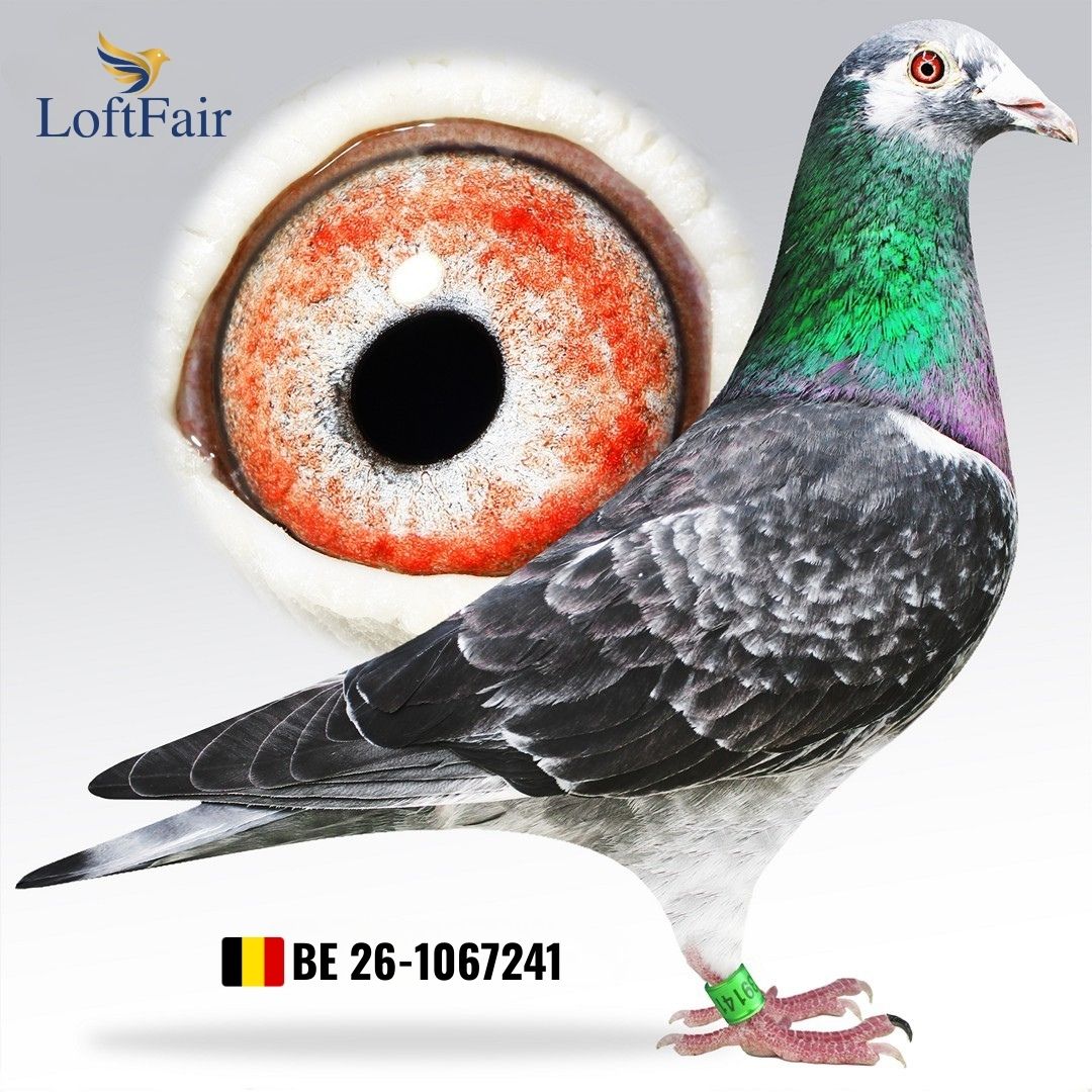 <br />
<b>Deprecated</b>:  htmlspecialchars(): Passing null to parameter #1 ($string) of type string is deprecated in <b>/home/zyomsaomay/loftfair.com/views/public_pages/anasayfa.view.php</b> on line <b>40</b><br />
